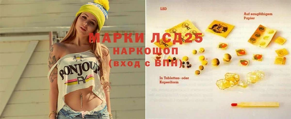 ECSTASY Алзамай
