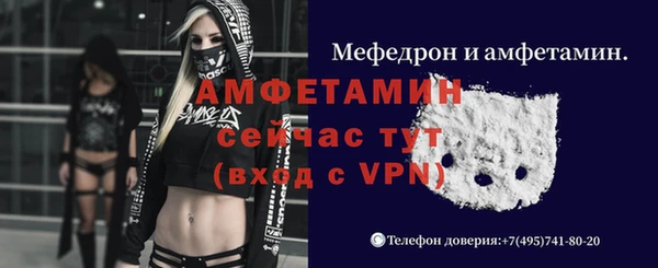 стафф Алексин