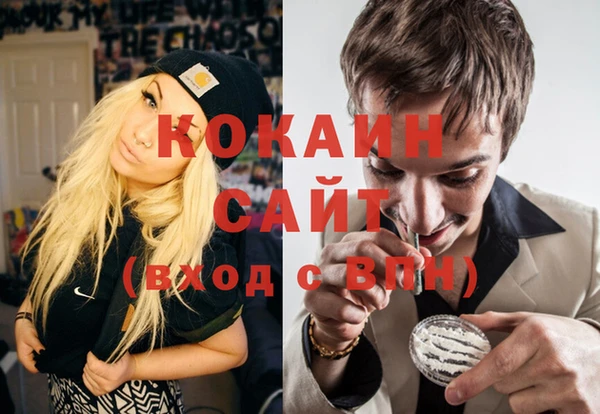 стафф Алексин