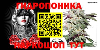 МДПВ Кингисепп