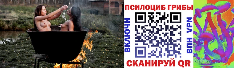 ссылка на мегу сайт Кропоткин Псилоцибиновые грибы GOLDEN TEACHER купить наркотик