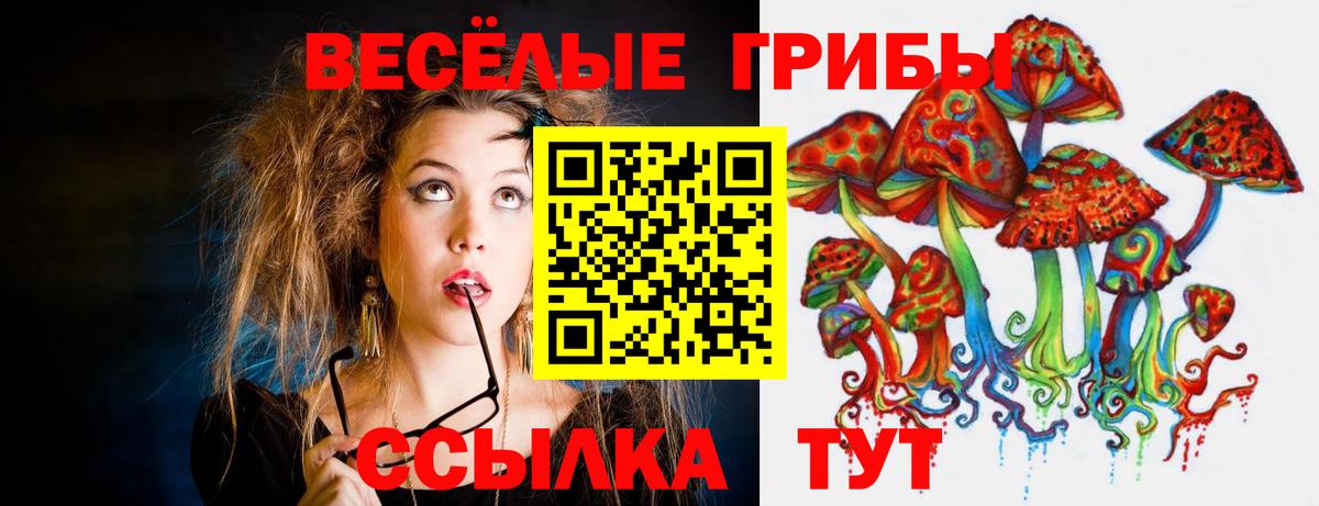 Галлюциногенные грибы мицелий Кропоткин